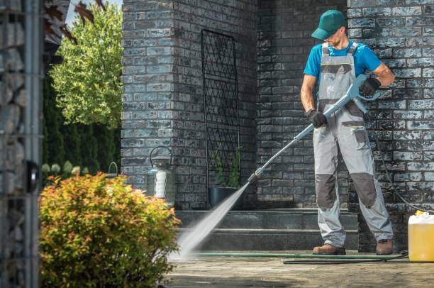 Animal Enclosure Cleaning in Five Points, FL